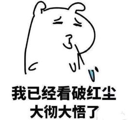 最恶劣的走势,没有之一