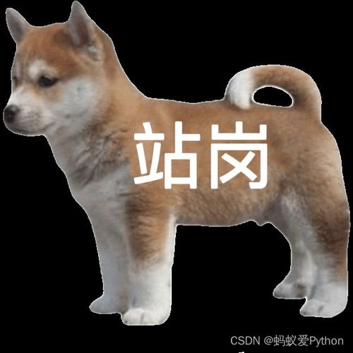 python实现记忆缓存函数返回值