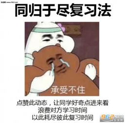 佛性复习法表情图片期末复习法表情包下载乐游网手机下载站