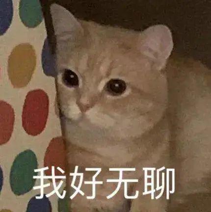 再添十碗饭丨第809期喵表情包