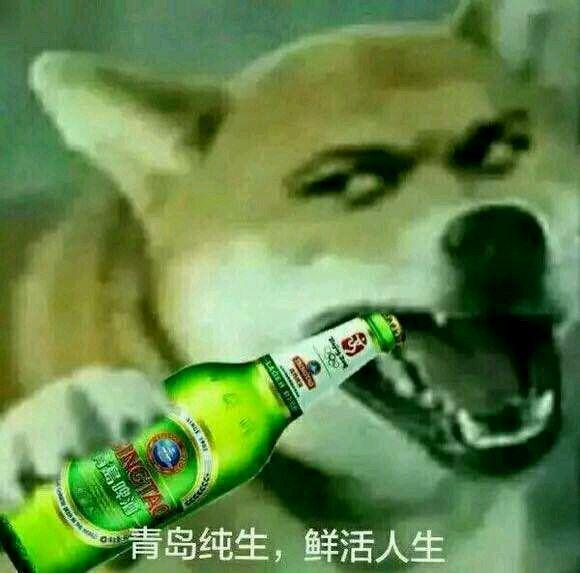 王八家族表情包图片大全聊天表情大全