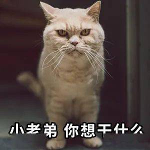 表情包动图看见你就烦表情包
