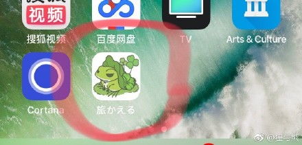 苹果appstore现山寨版旅行青蛙售价30元