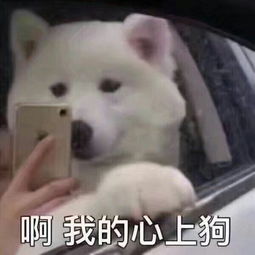 刚和女朋友男朋友同居是一种什么体验
