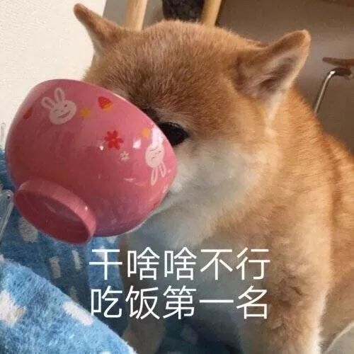 寒假生存指南