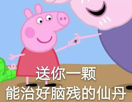 亲戚拉着我聊天问你是坐神舟几号回来呀哈哈哈