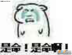 趴玻璃上看热闹的猫表情包就是啊附和表情包图片下载乐游网游戏下载