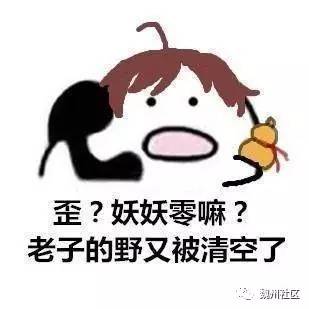 王者荣耀英雄玩坏表情包歪开黑吗