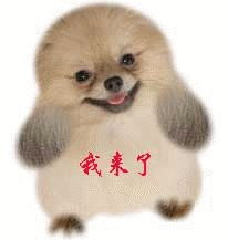 司机魏鑫鹏求职简历固安在线