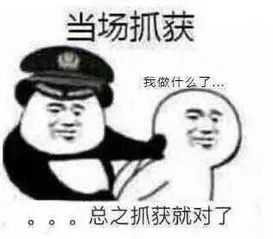 熊猫头表情包当场抓获当场逃脱反手逮捕当场击毙