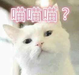 猫叫表情包喵喵喵