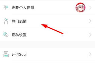 soul怎么添加表情表情包添加方法介绍
