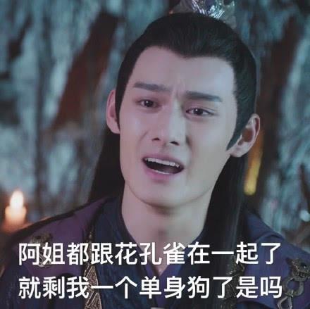 陈情令表情包有多逗忘羡cp秀恩爱,舅舅一句话羡羡求安慰