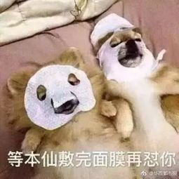 明星惊奇履历葛优养猪李健爬电线杆张国立立过二等功