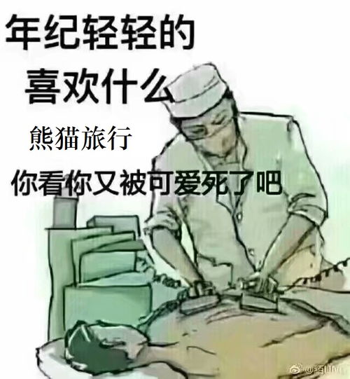 熊猫旅行