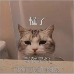 萌宠搞怪表情包把我想得太复杂说明你也不简单