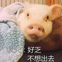 看到夏克立养夏天的样子,说吧,你是不是属于会被怼的爸妈