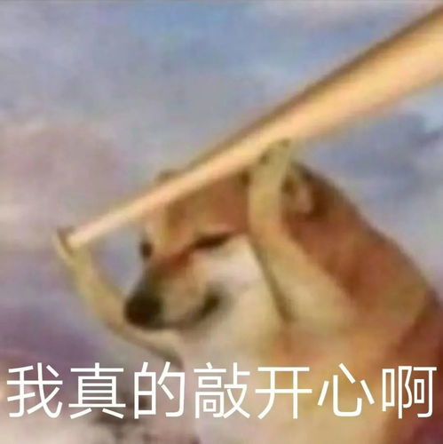 表情包蛤蟆狗柴犬cheems表情包
