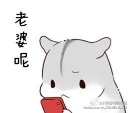 求小仓鼠老婆系列表情包,类似这种