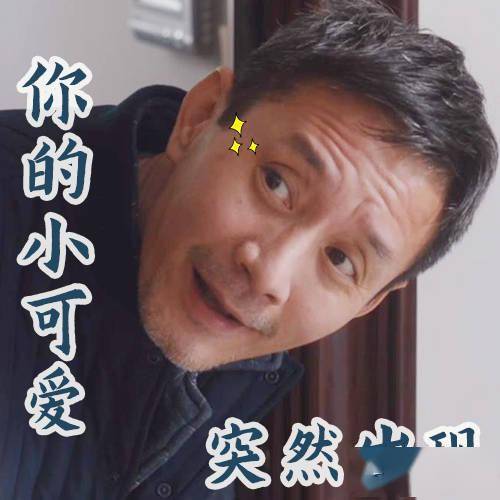 北京卫视我们的新时代于大爷表情包送给大家