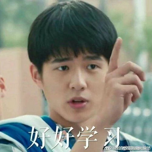 有刘昊然的壁纸或表情包吗