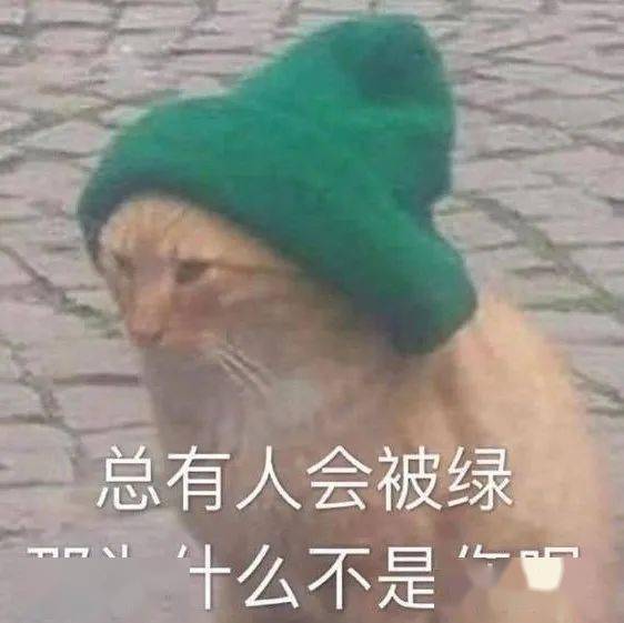 沙雕表情你能出来给我磕个头