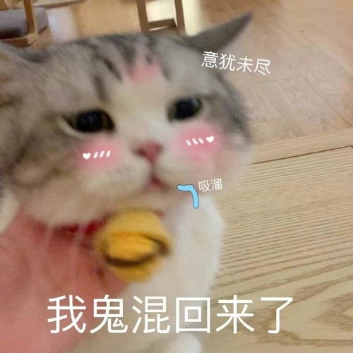 笑话托朋友给表妹介绍男朋友...