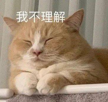 表情包1655期