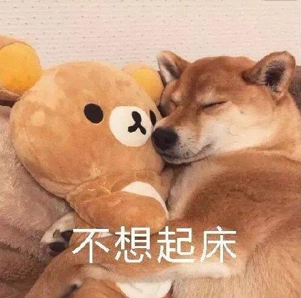 放假窝在房间不想起床系类表情包合集