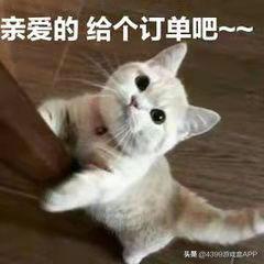 小花仙新玩法爆料,在花的世界里居然还能送外卖,我爱上了