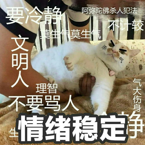 qq漫游表情包突然没了