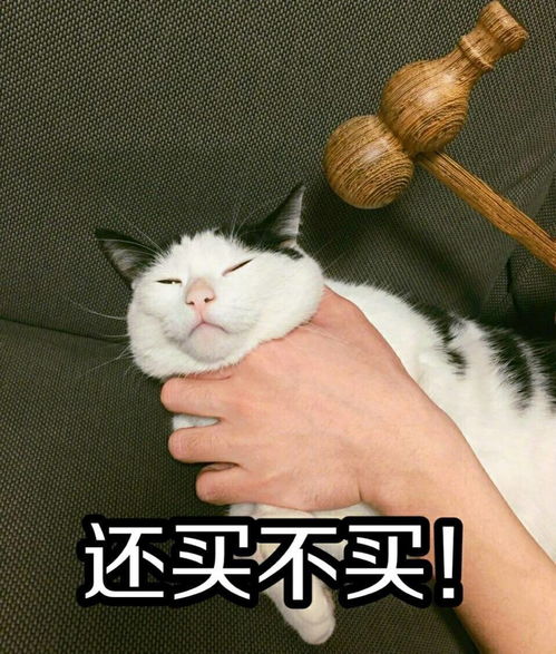 买买买了那么多,还是无法享受第二杯半价设计关注1508