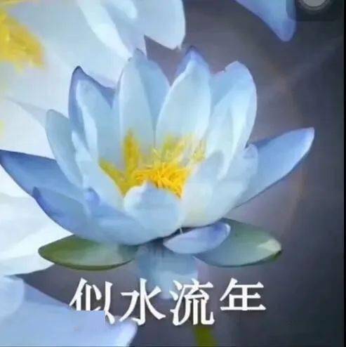女孩子千万不要随便在网上买衣服,不然哈哈哈这穿了简直是精准露点