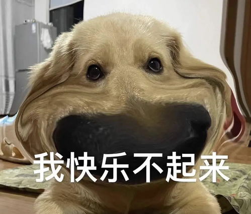 淘宝退货衣服物品一定要记得拍照
