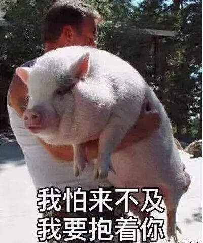 给我四个好队友,我也能拿亚运会金牌
