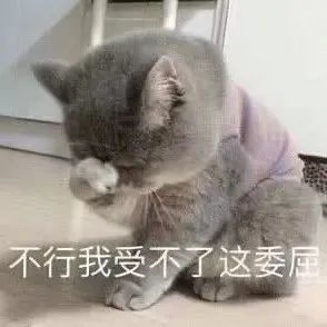 伤感表情包委屈猫