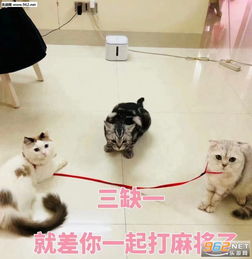 小孩子不可以看表情包反抗是不敢反抗的只能偷偷略略略这样子表情包下载乐游网游戏下载