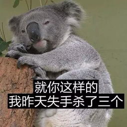 在动物为爷的澳洲,被摔死的小柯基,会有不一样的结局吗