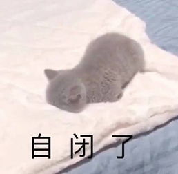 能把人怼哭的犀利表情我这一巴掌下去你可能会死