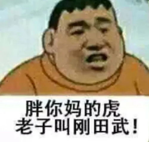 胖虎表情包丨我是你的双马尾小宝贝吗