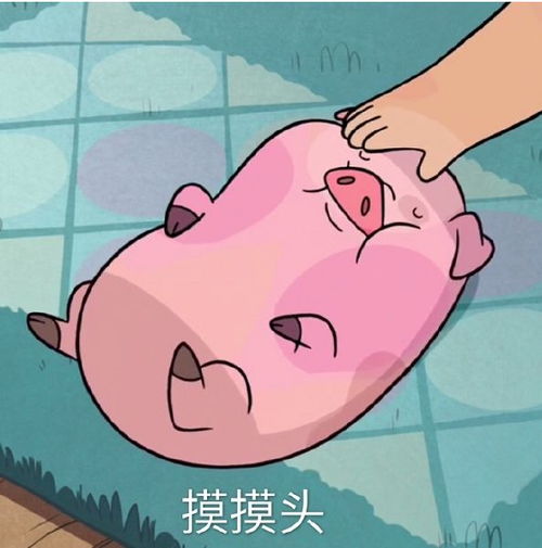 大半夜笑出猪声表情包史上