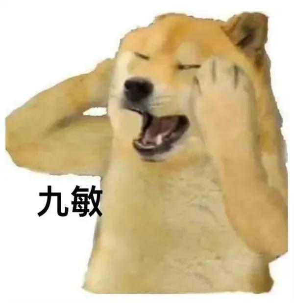 可爱狗狗表情包