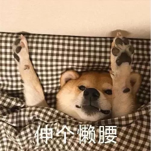 日常表情包这就是最近过年在家的你