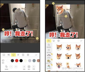 表情微信聊天斗图,你需要这些绝招知乎表情