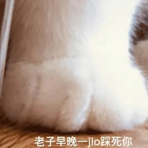 表情包你的绿帽子掉了