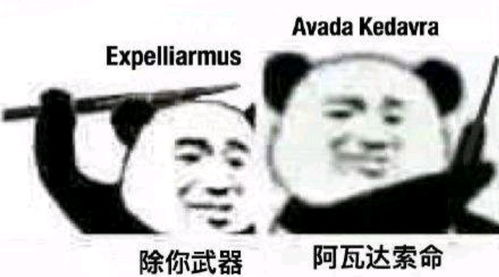 生存技能培训系列零基础干架技能培训狗头保命
