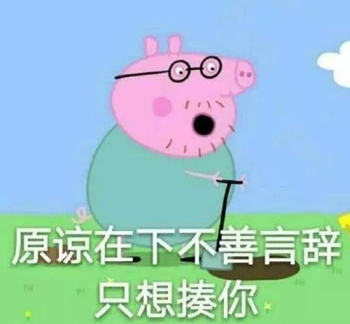 重要通知表情包小猪