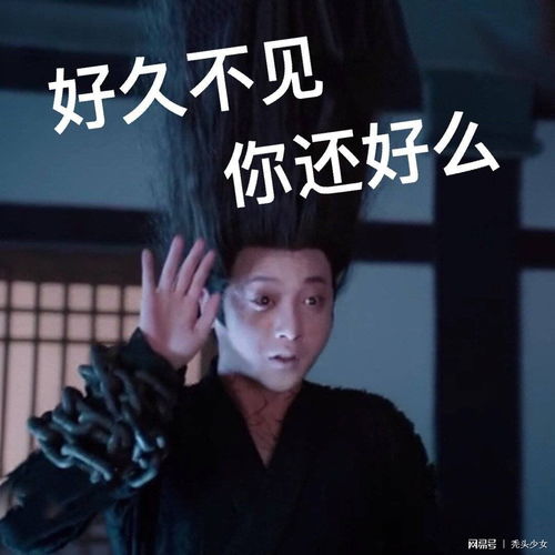 你不得不get的表情包之陈情令