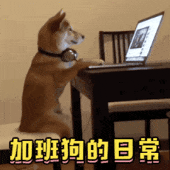 加班表情包