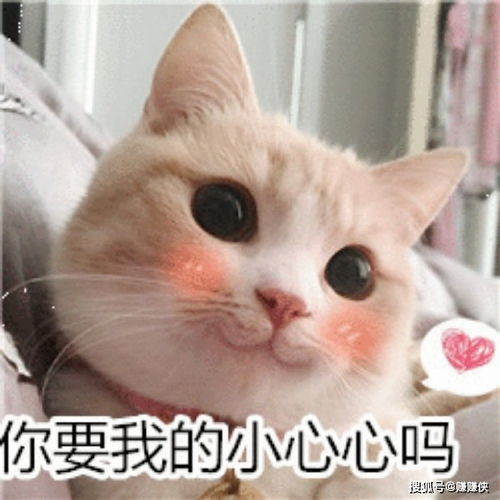 哥哥最好了表情包